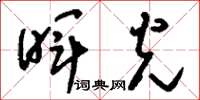 刘少英晖光草书怎么写