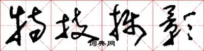 刘少英特技摄影草书怎么写