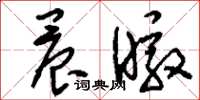 刘少英晨暾草书怎么写
