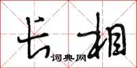 段相林长相行书怎么写