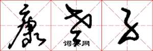 刘少英康老子草书怎么写