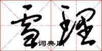 刘少英雪理草书怎么写