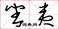 刘少英番夷草书怎么写