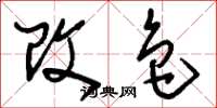 刘少英改色草书怎么写