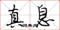 段相林真息行书怎么写