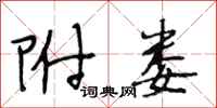 段相林附娄行书怎么写