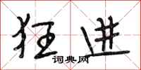 段相林狂进行书怎么写