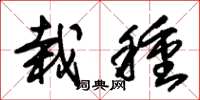 朱锡荣栽种草书怎么写