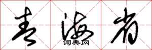 朱锡荣青海省草书怎么写