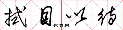 朱锡荣拭目以待草书怎么写