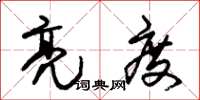 朱锡荣亮度草书怎么写