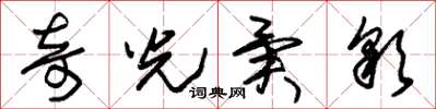 朱锡荣奇光异彩草书怎么写