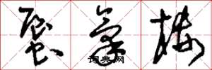 刘少英蜃气楼草书怎么写
