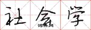 段相林社会学行书怎么写