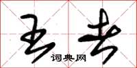 朱锡荣王者草书怎么写