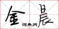 段相林金晨行书怎么写