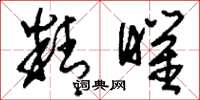 刘少英精曜草书怎么写