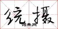 段相林统摄行书怎么写