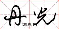 朱锡荣丹光草书怎么写