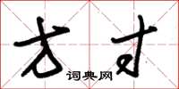 朱锡荣方寸草书怎么写