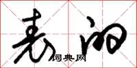 朱锡荣表的草书怎么写