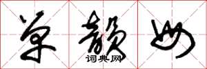 朱锡荣单韵母草书怎么写