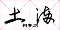 朱锡荣土满草书怎么写
