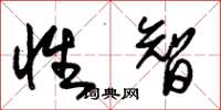 朱锡荣性智草书怎么写
