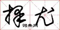 朱锡荣择尤草书怎么写
