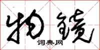 朱锡荣物镜草书怎么写