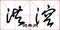 朱锡荣洪溶草书怎么写