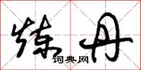 朱锡荣炼丹草书怎么写