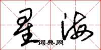 朱锡荣星海草书怎么写