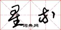 朱锡荣星等草书怎么写