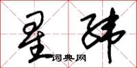 朱锡荣星纬草书怎么写