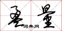 朱锡荣盈量草书怎么写