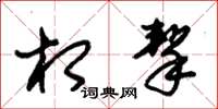朱锡荣相挈草书怎么写