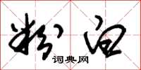 朱锡荣粉白草书怎么写