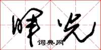 朱锡荣晖光草书怎么写
