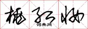 朱锡荣桃红妆草书怎么写