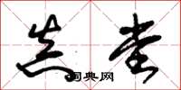朱锡荣真堂草书怎么写