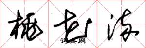 朱锡荣桃花流草书怎么写