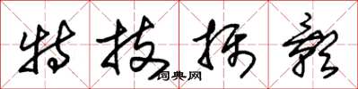 朱锡荣特技摄影草书怎么写