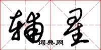 朱锡荣辅星草书怎么写