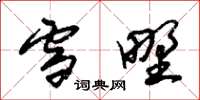 朱锡荣雪野草书怎么写