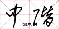 朱锡荣中阶草书怎么写