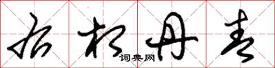 朱锡荣右相丹青草书怎么写
