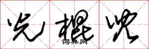 朱锡荣光棍儿草书怎么写