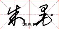 朱锡荣朱墨草书怎么写