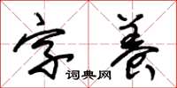 朱锡荣字养草书怎么写